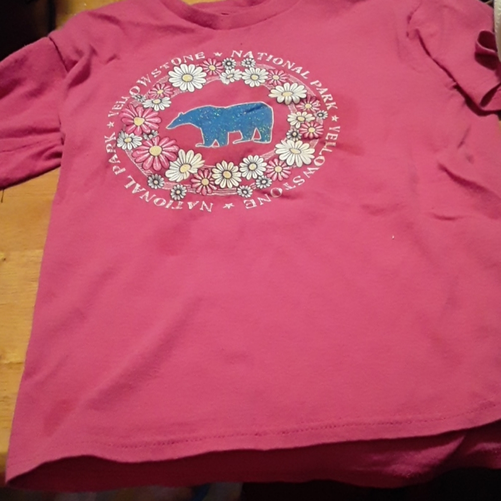 Yellowstone national park t-shirt